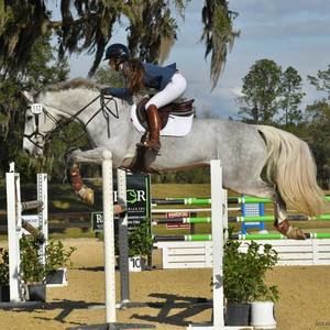 Meet your Posher, Wynter